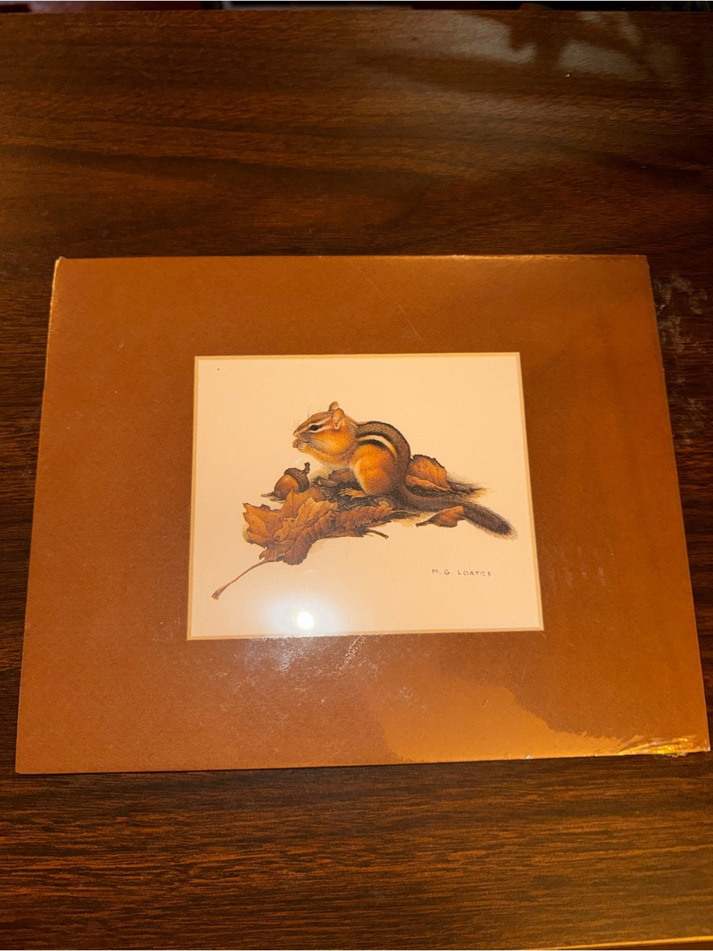matted color print titled "Eastern Chipmunk" by artist Martin Glen Loates